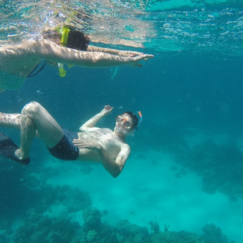 Perjalanan Snorkeling Sehari di Pulau Hula Hula & Makan Tengahari - Hurghada