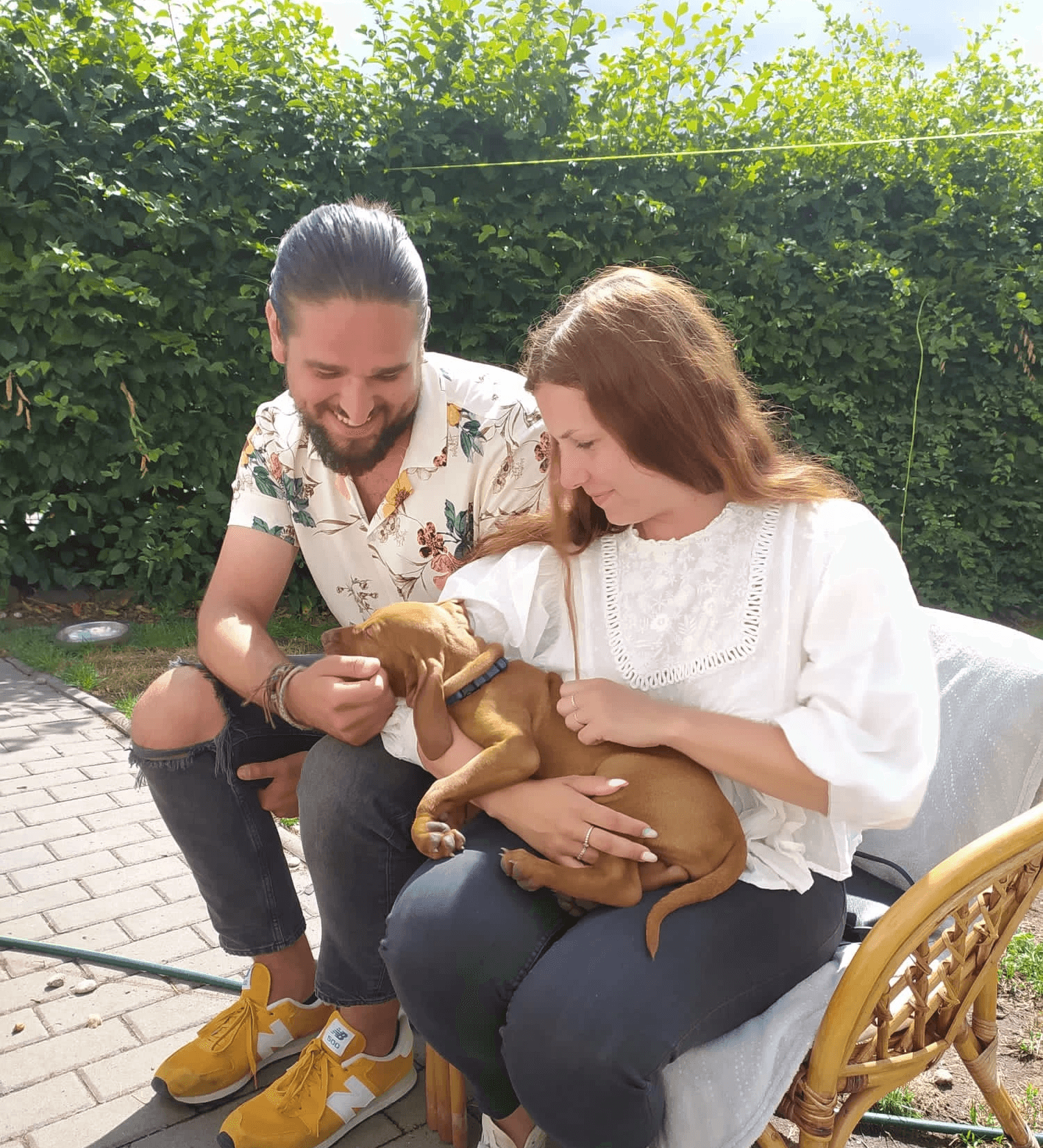 photo from unsplash as placeholder