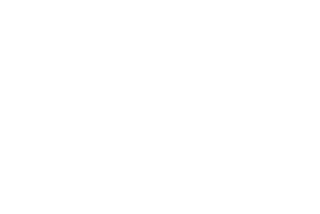 IDS logo