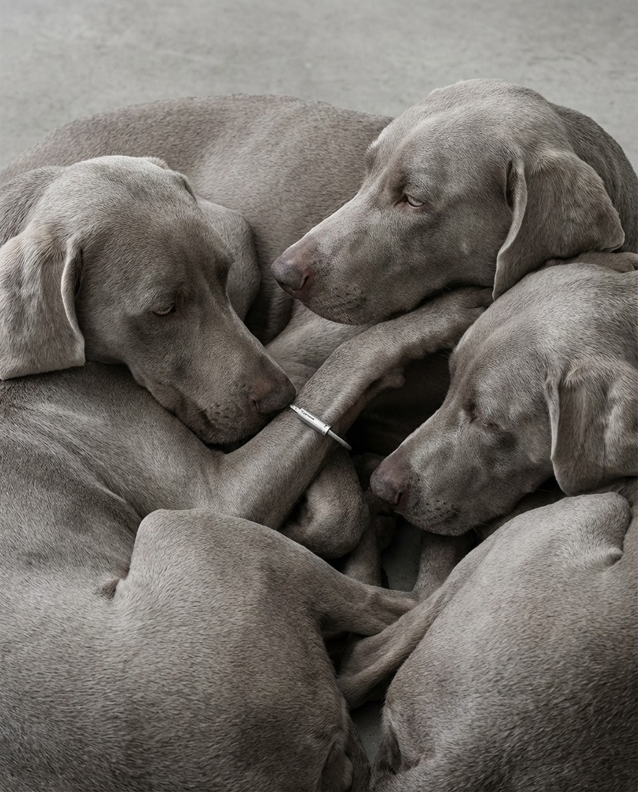 Ghost Campaign asset without physical sample, Pure mathematical generation, Industrial refraction standards, Cognitive Luxury R&D, Engineered by Aventi