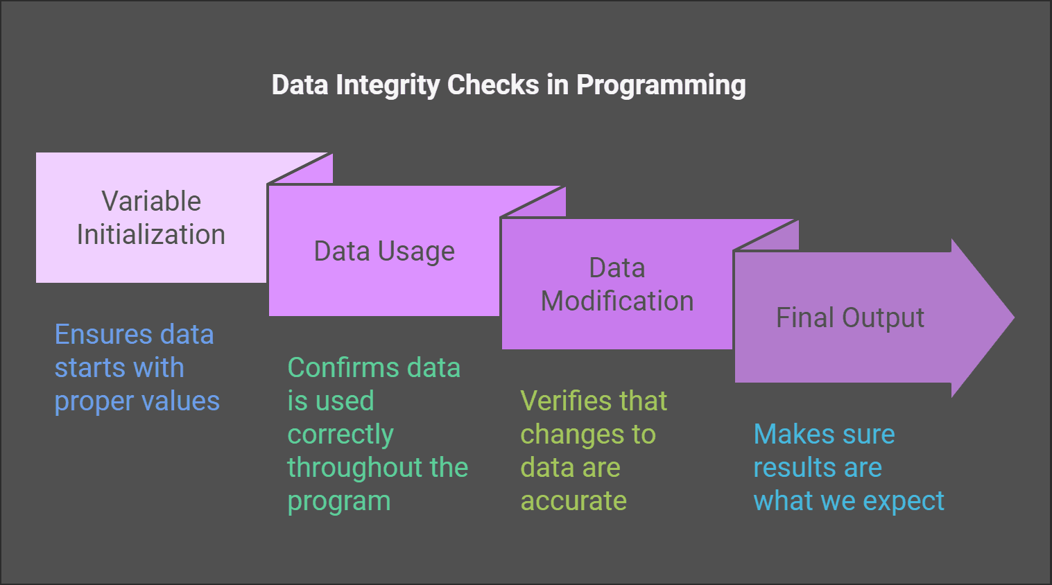 Data Integrity Checks in Programming