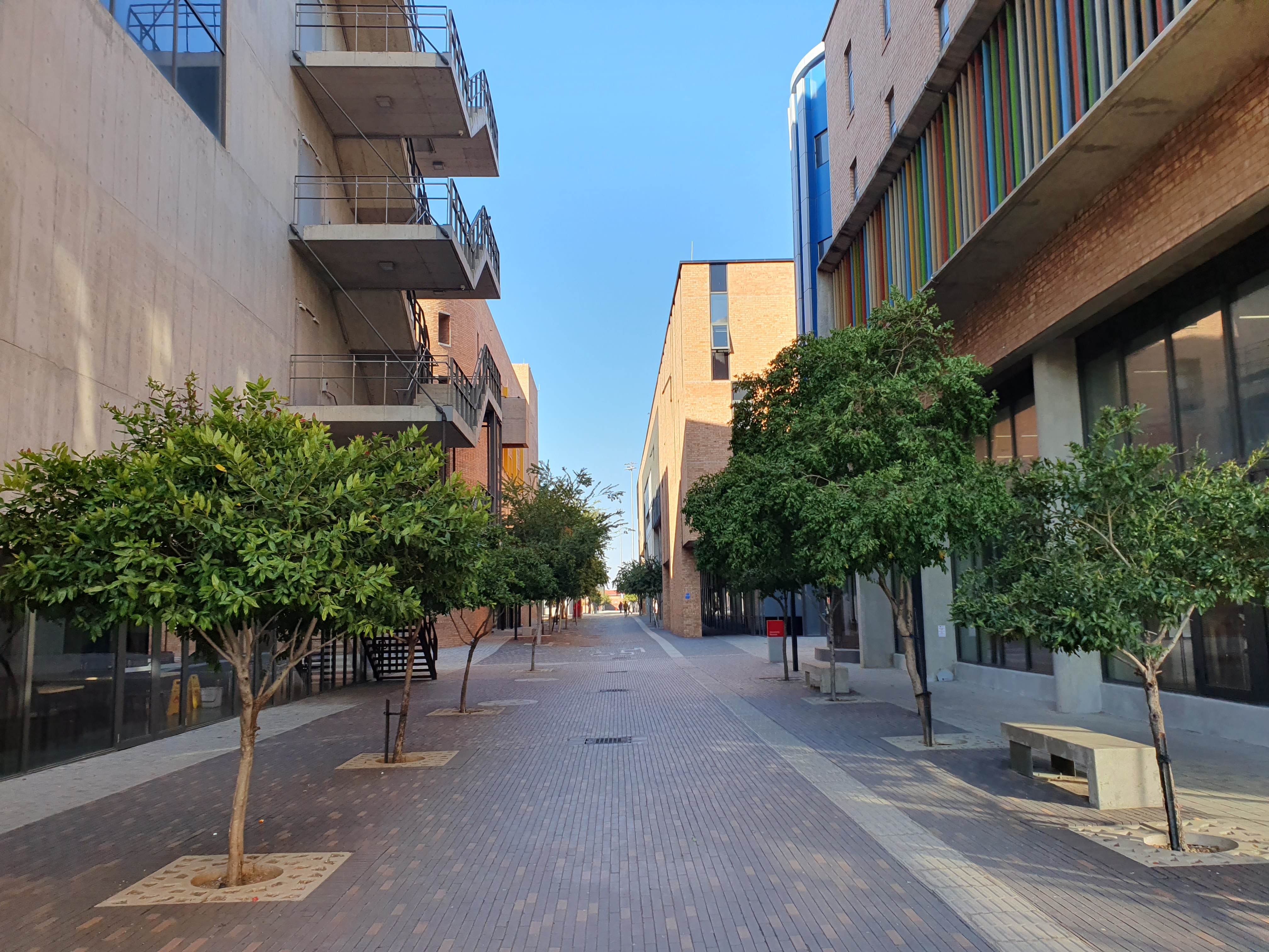 Close-up of black road bike with bright orange frame accents.