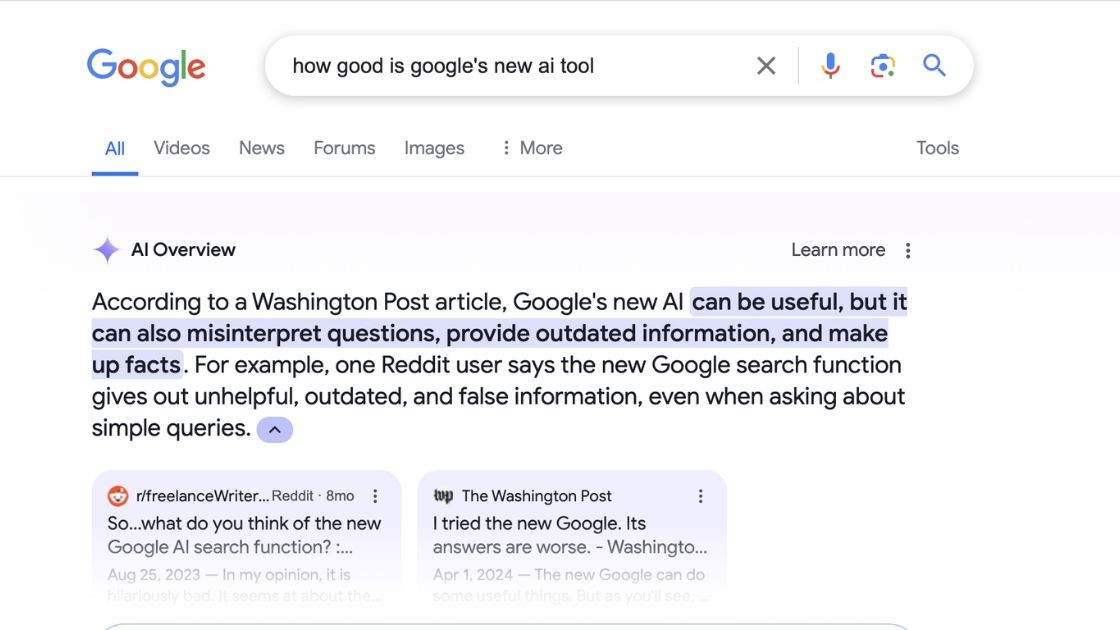 Google AI overview example
