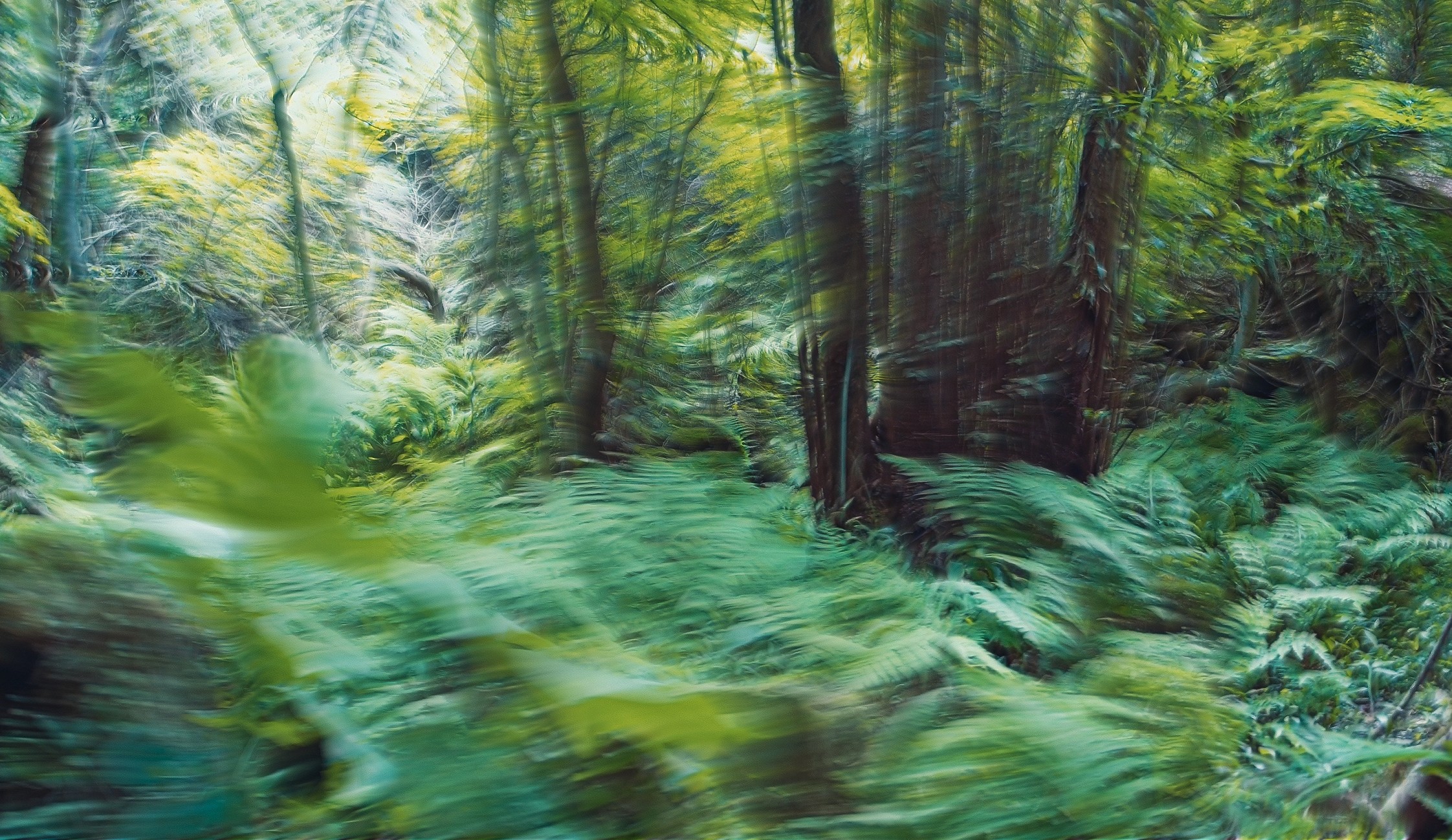 3D geometric workspace mockup with cubes and cylinders