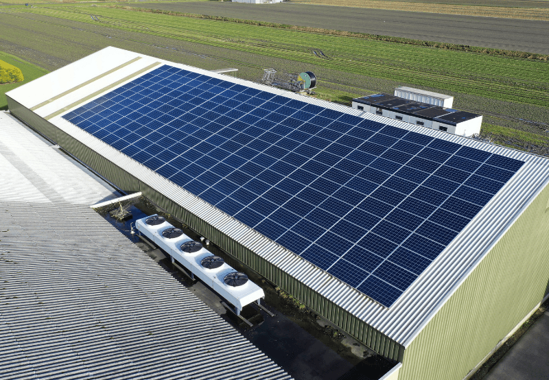 Solar on Cold Storage. Avalani Solar.