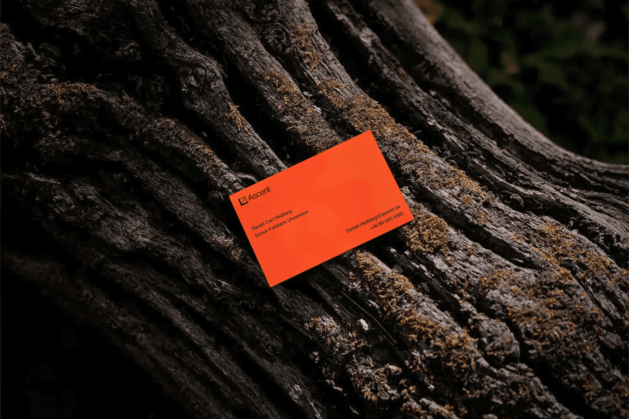 Ascent business cards on table