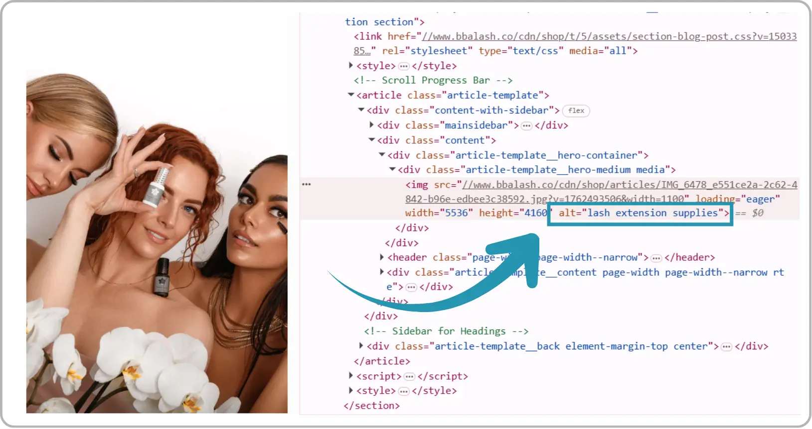 Google search results showing alt text example