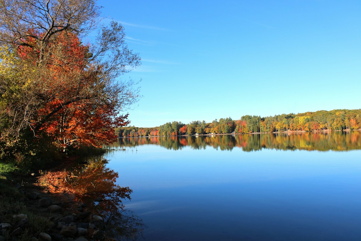 Still Maine lake reflecting blue sky with a red maple on the near shore