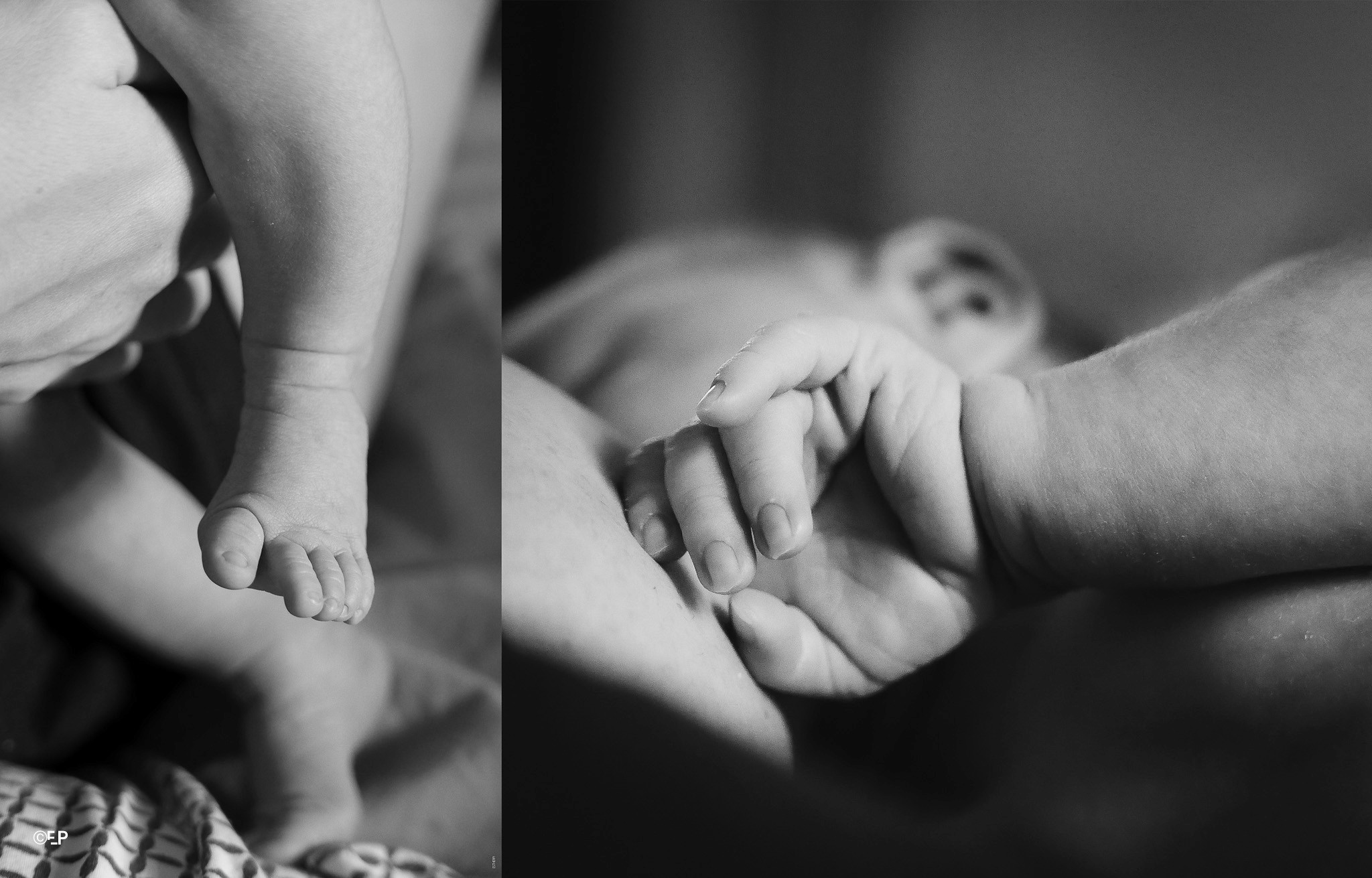 Parc André Citroen, Paris