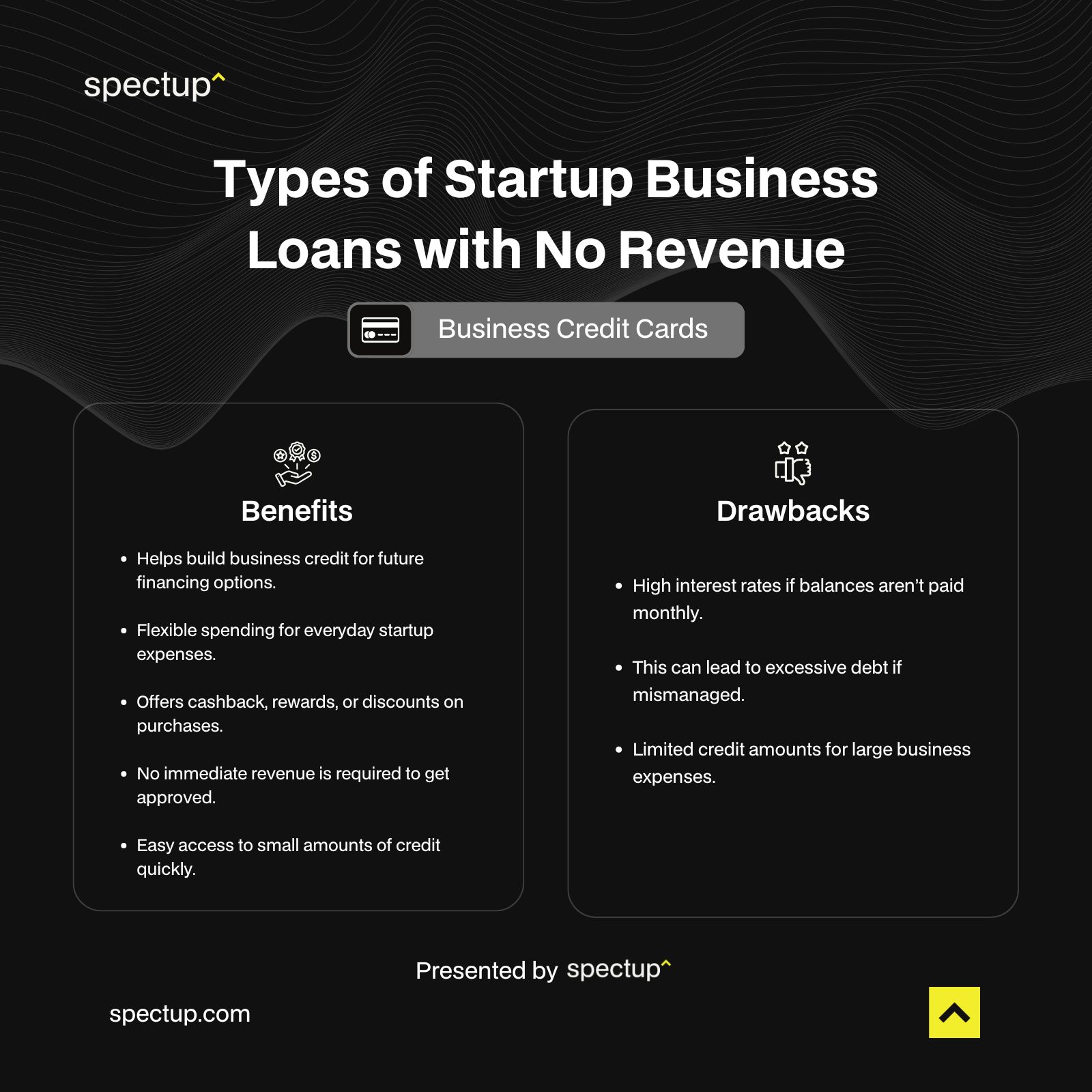 Types of Startup Business Loans with No Revenue - Business Credit Cards