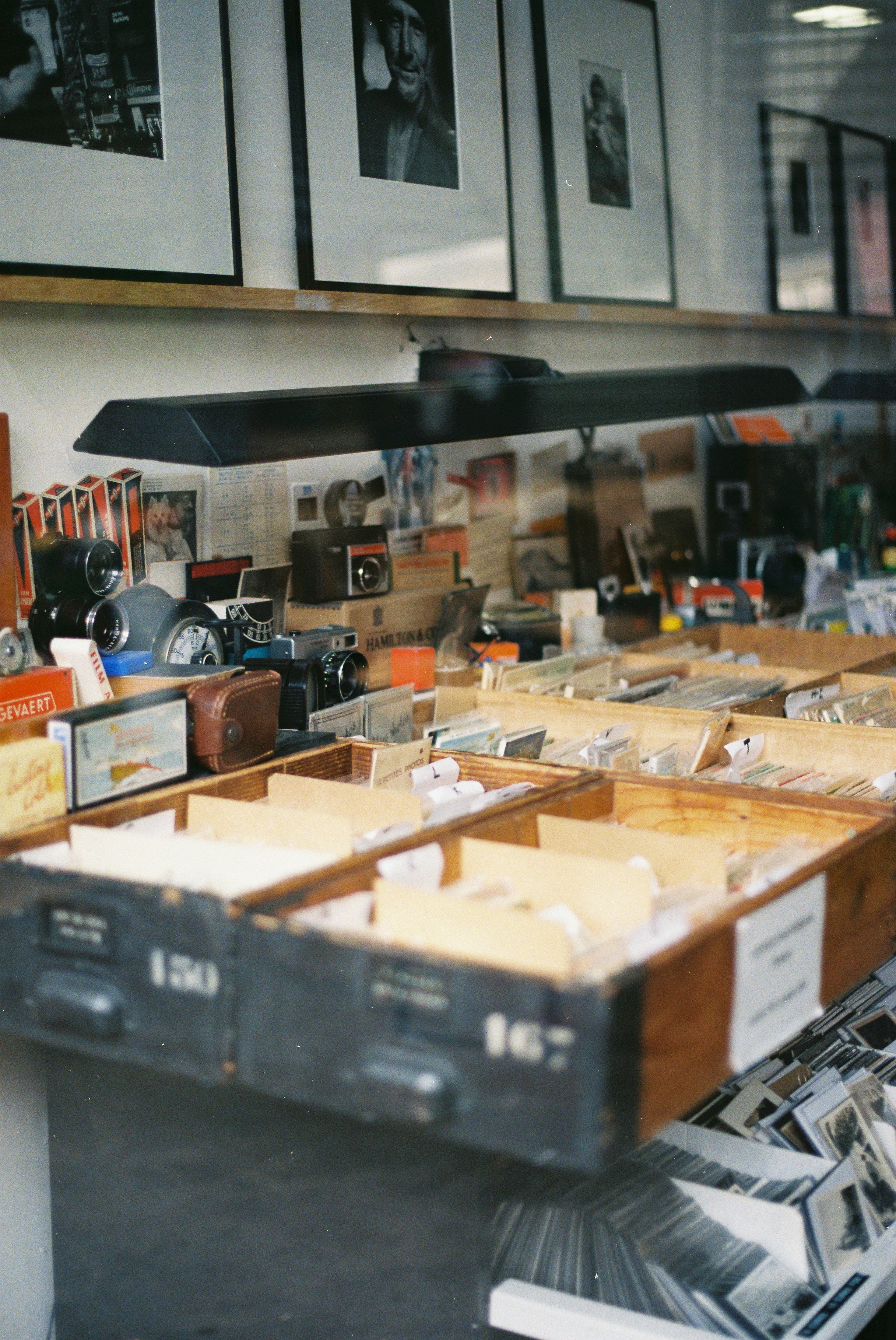 Vintage cameras and photographic equipment displayed in shop.