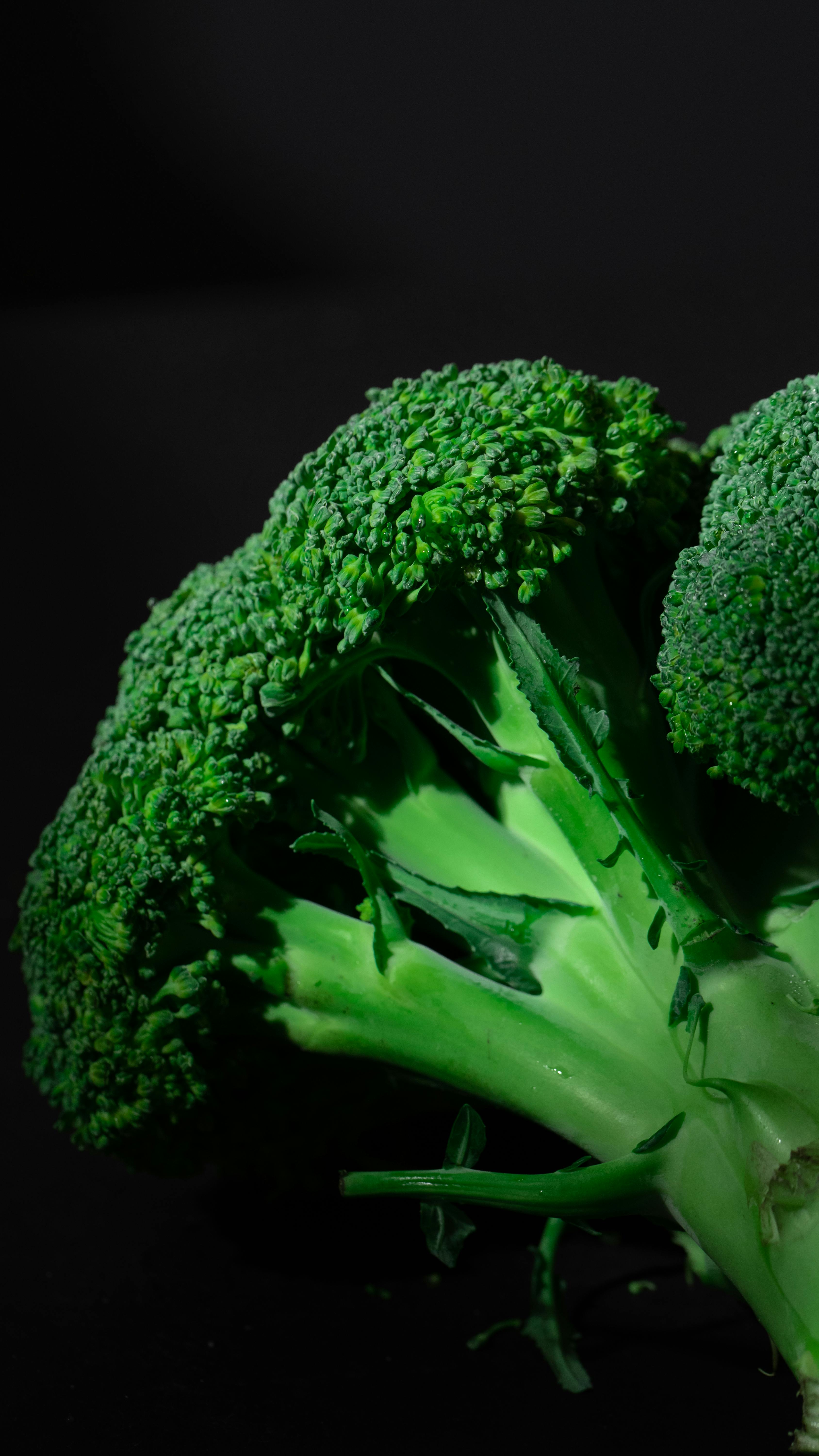 close-up-of-fresh-organic-broccoli-on-a-black-background-highlighting-its-textur - mikhail-nilov (pexels)