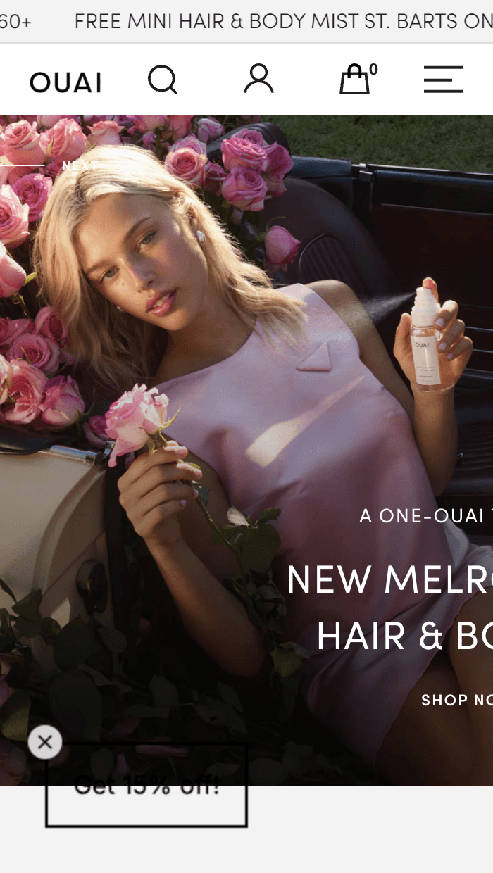 screen grab of website