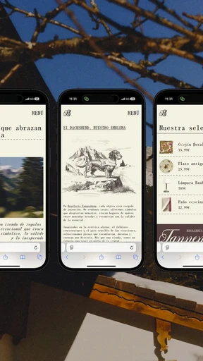 01_06_TANNENBAUM_WEB_INTERFACE.MP4