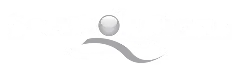Secusolutions logo