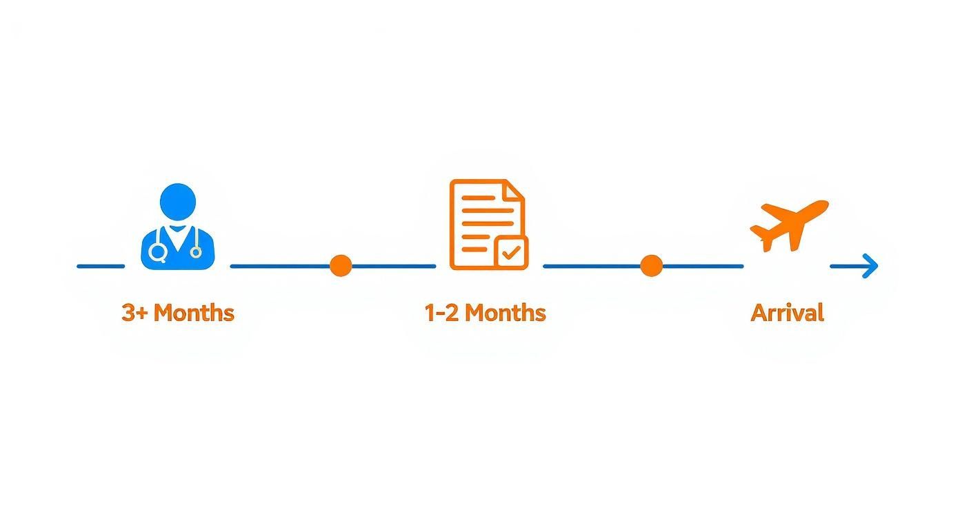 A three-step timeline illustrating the process for pet travel: vet consultation, document processing, and arrival.