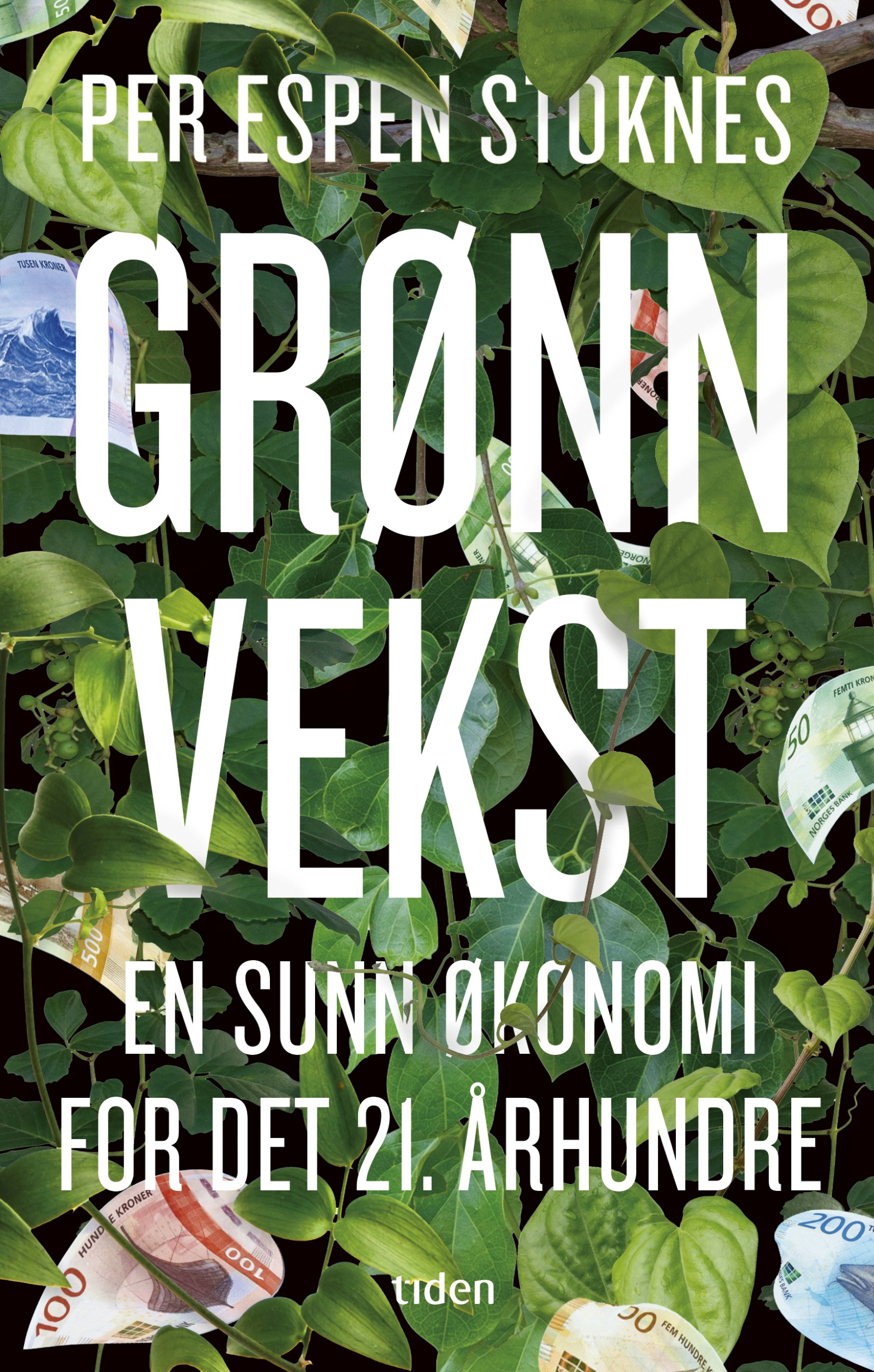 Bokomslag for Grønn vekst. En sunn økonomi for det 21. århundre