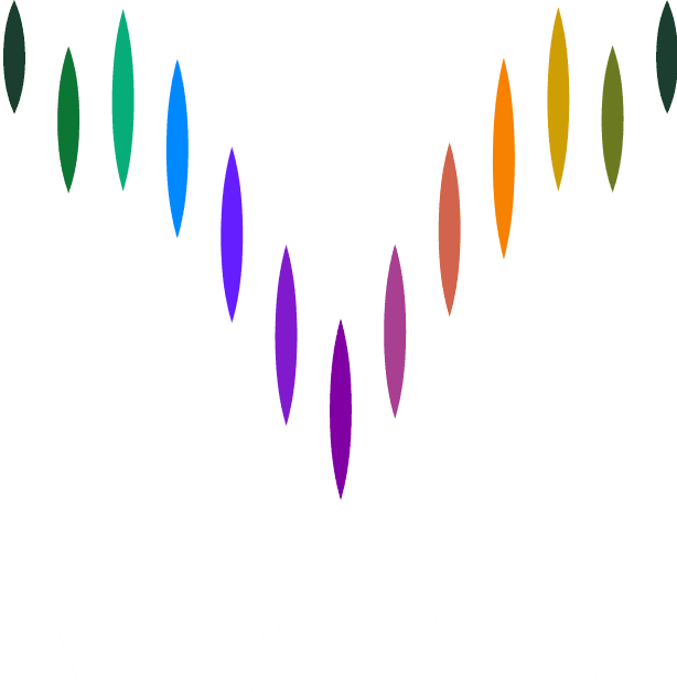 Vibrant Ventures Logo