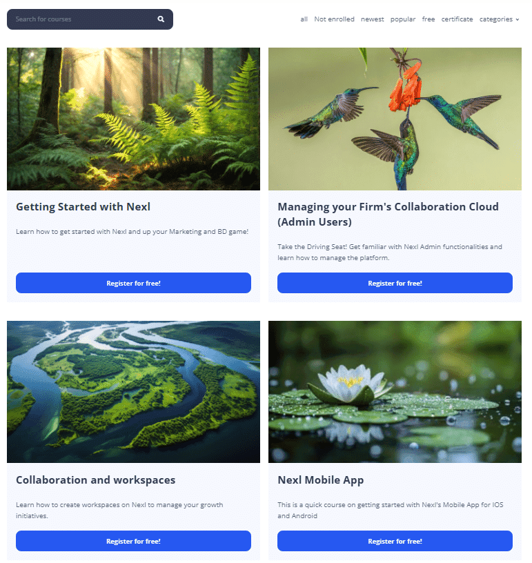 Marketing Spotlight: Mapping Nexl's Marketing and Sales Strategies and Tactics
