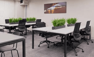 Modern bespoke artwork over desks with biophilic elements in city centre Manchester office
