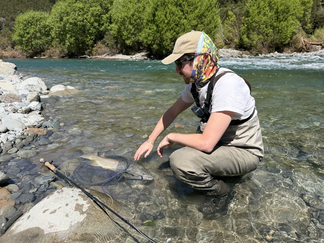 Sight fishing in gin-clear water on New Zealand’s South Island