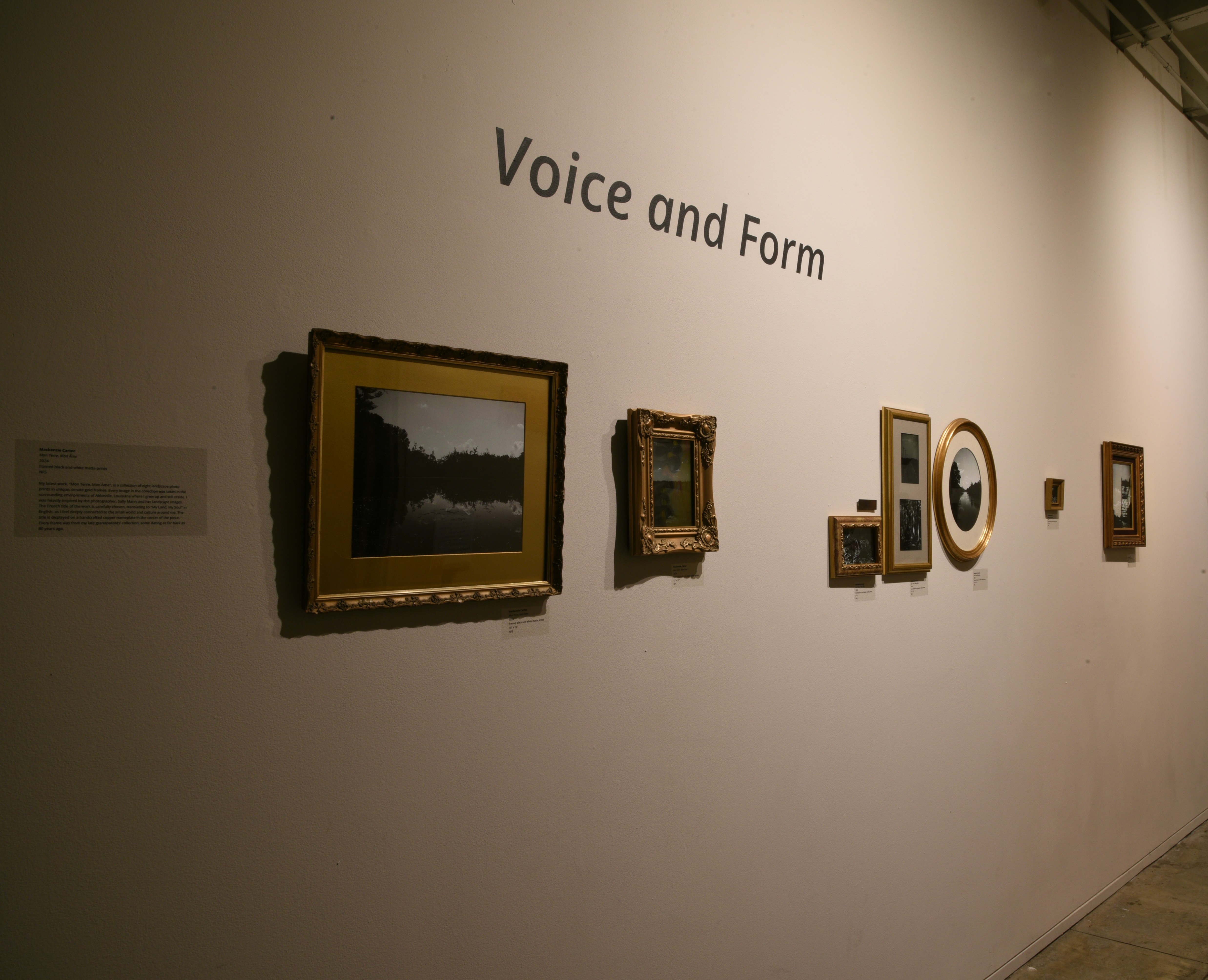 Several paintings hung on the wall in an art exhibition title Voice and Form