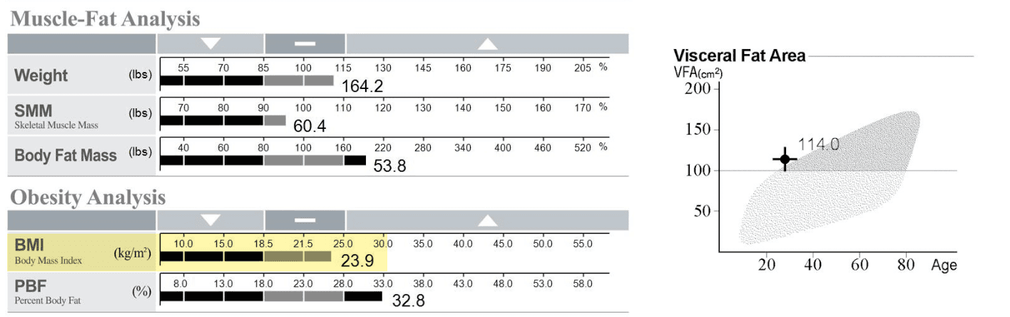 InBody Result Sheet showing Muscle Fat, Visceral Fat Area and Obesity Analysis sections.
