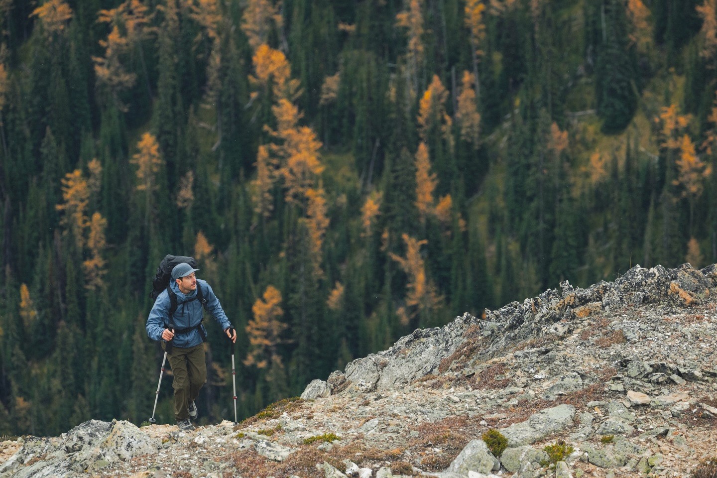 Services Thumbnail Image