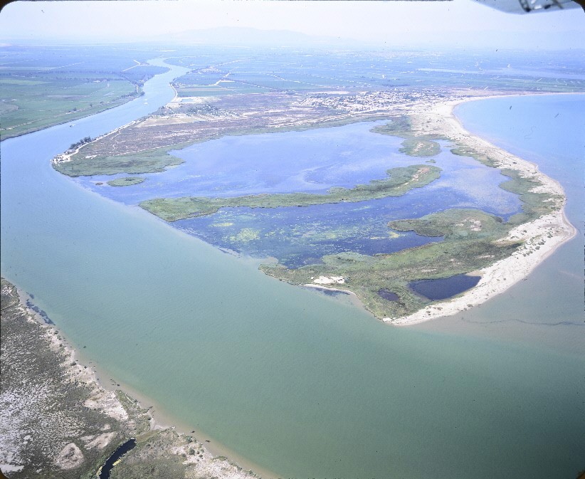 Vistes panoràmiques del Delta de l'Ebre, 2023 - Arxiu Nacional de Catalunya