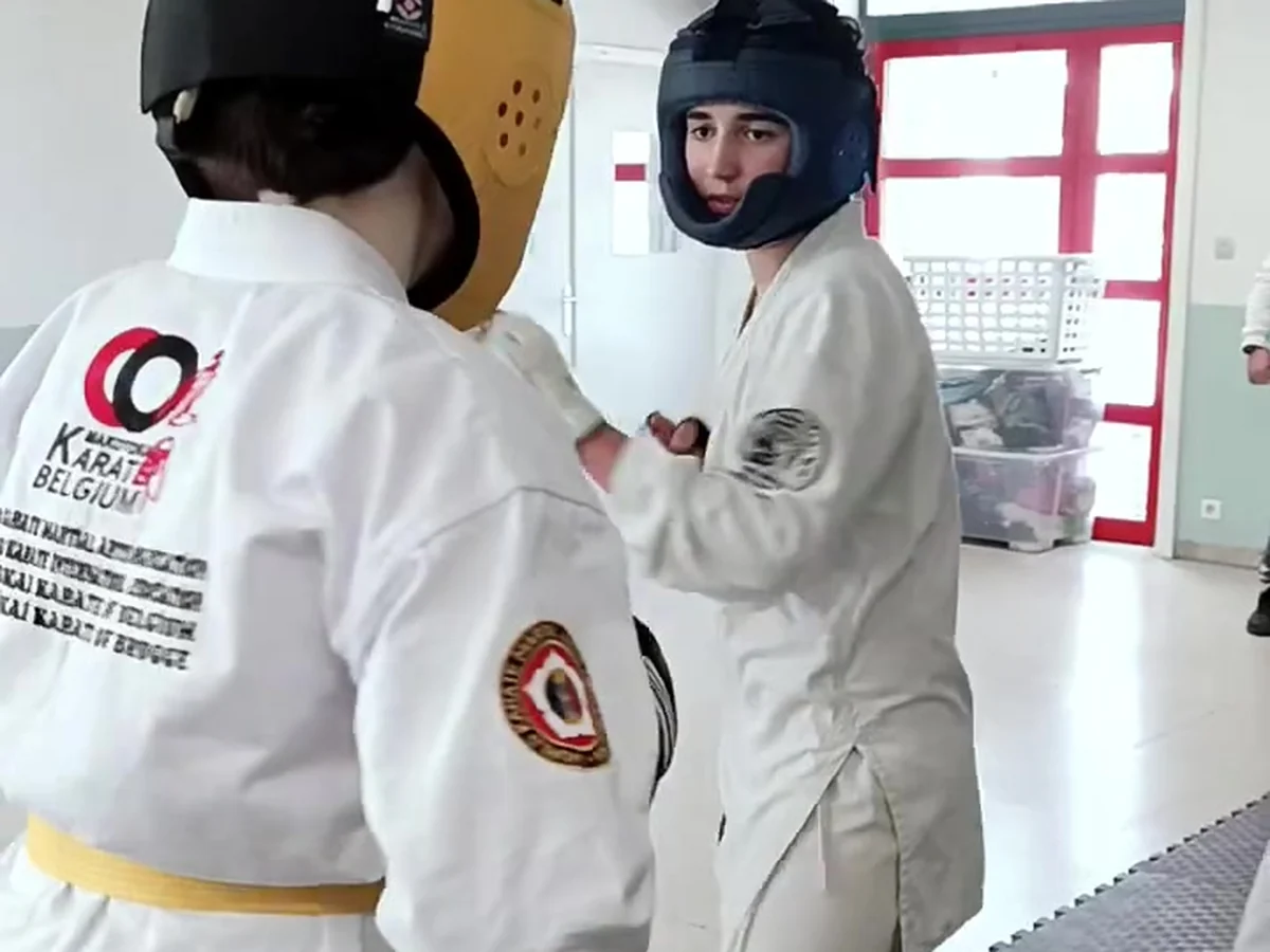 Partner contact drill during Makotokai Karate training.