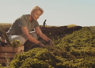 holding soil in hand