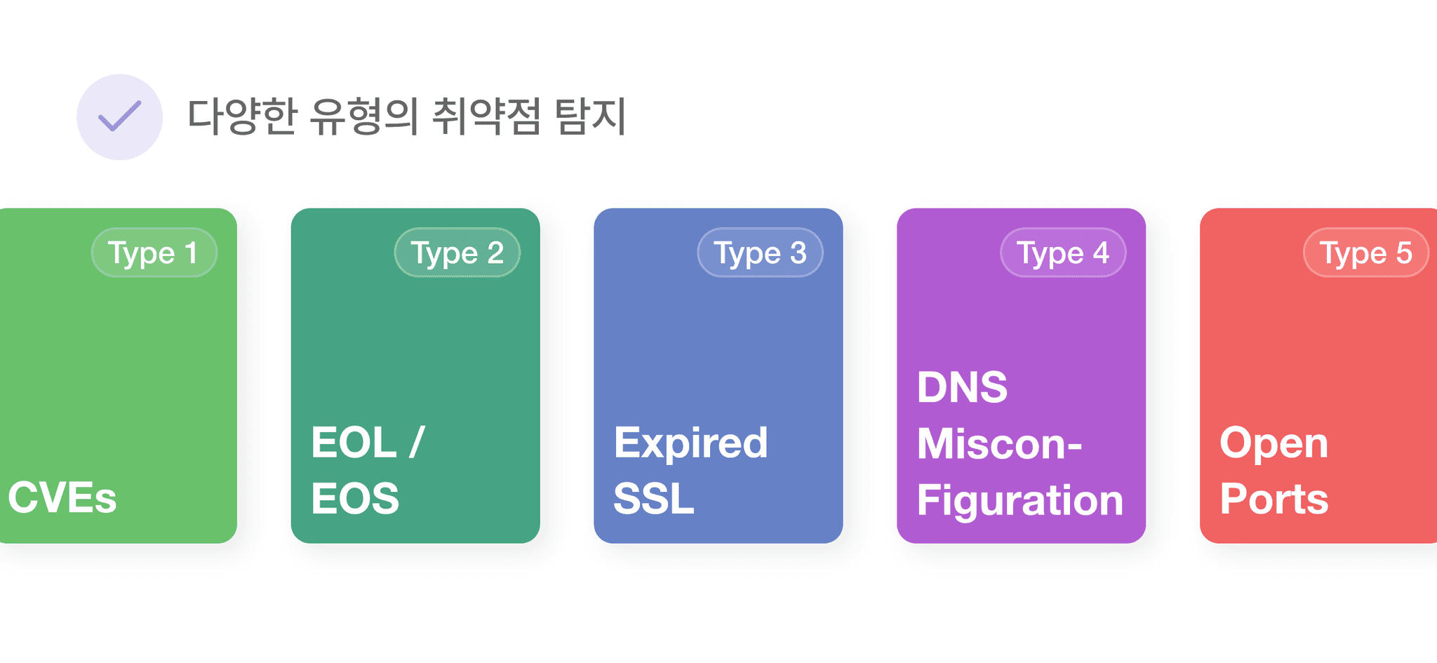 cves, eol/eos, expired ssl, dns, 오픈포트