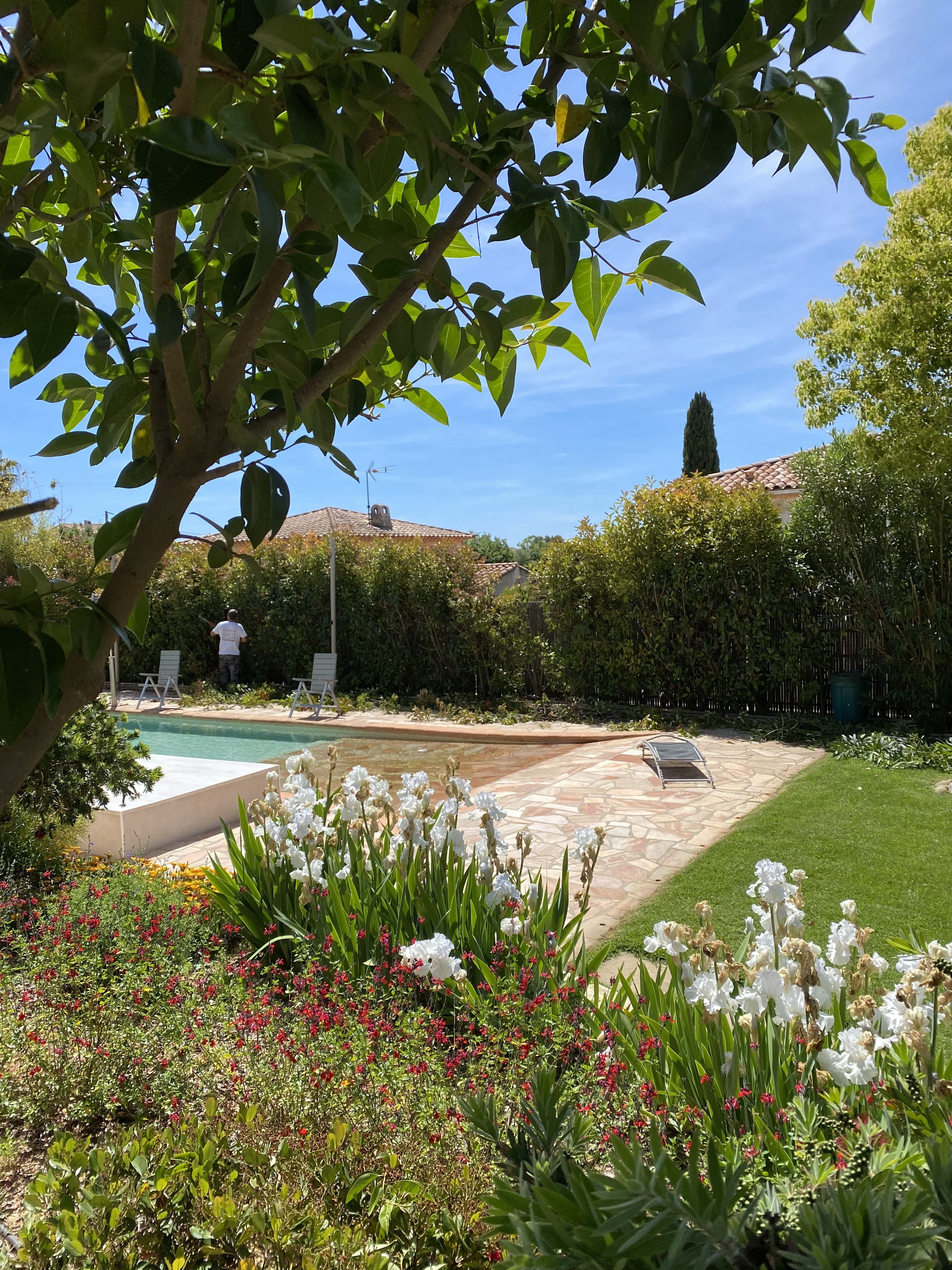 Aménagement de massifs fleuris et entretien de bordures de piscine à Gassin - BML Paysages