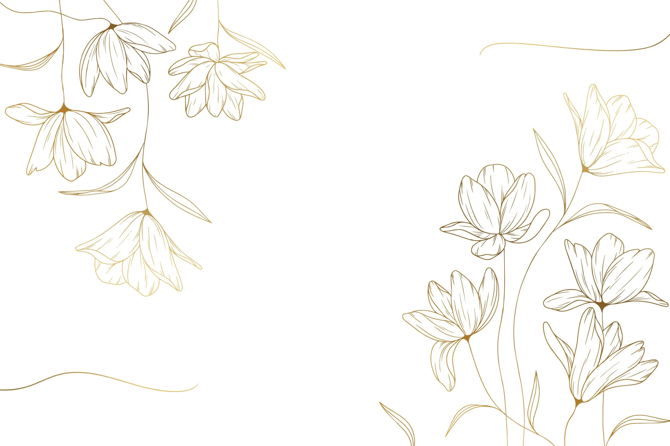 ilustração delicada com elementos florais em fundo claro