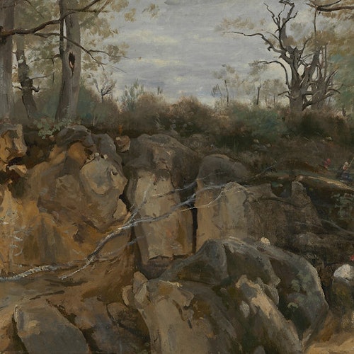 岩石地形，樹木稀疏，包括一些光禿的樹枝，天上雲層重重。