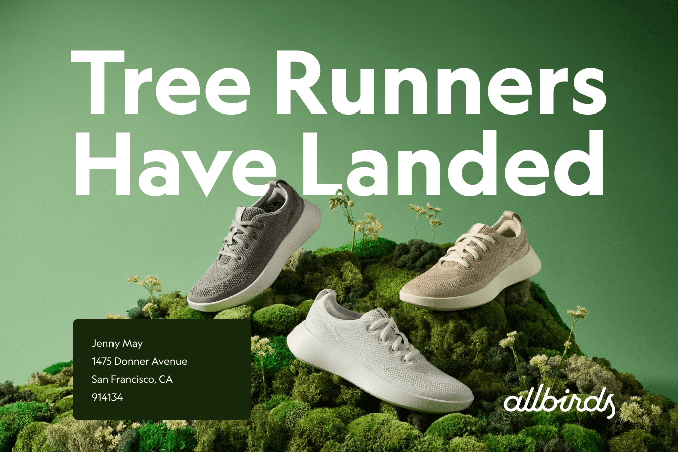 Allbirds Direct Mail Design Postcard