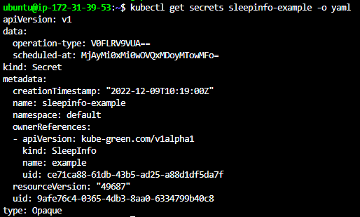 Terminal output of the sleepinfo-example secret after the wake-up, where the stored deployment replicas entry has been removed