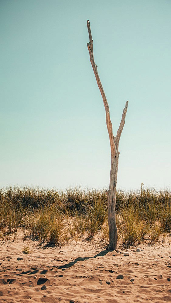 Photo by Billy Freeman Ad on Unsplash