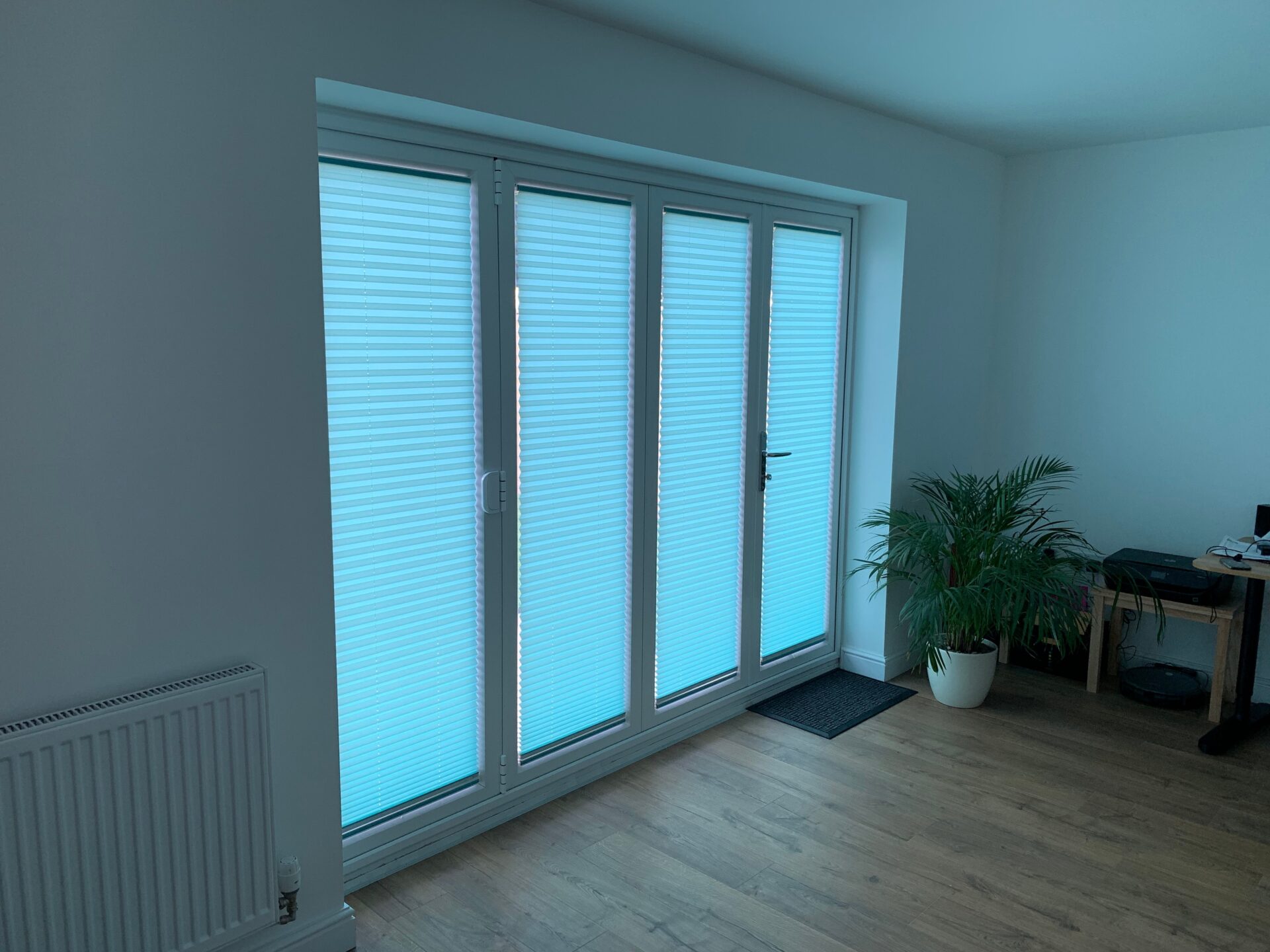 Doors with inset blinds in green with a potted fern plant. Wholesale Blind Factory