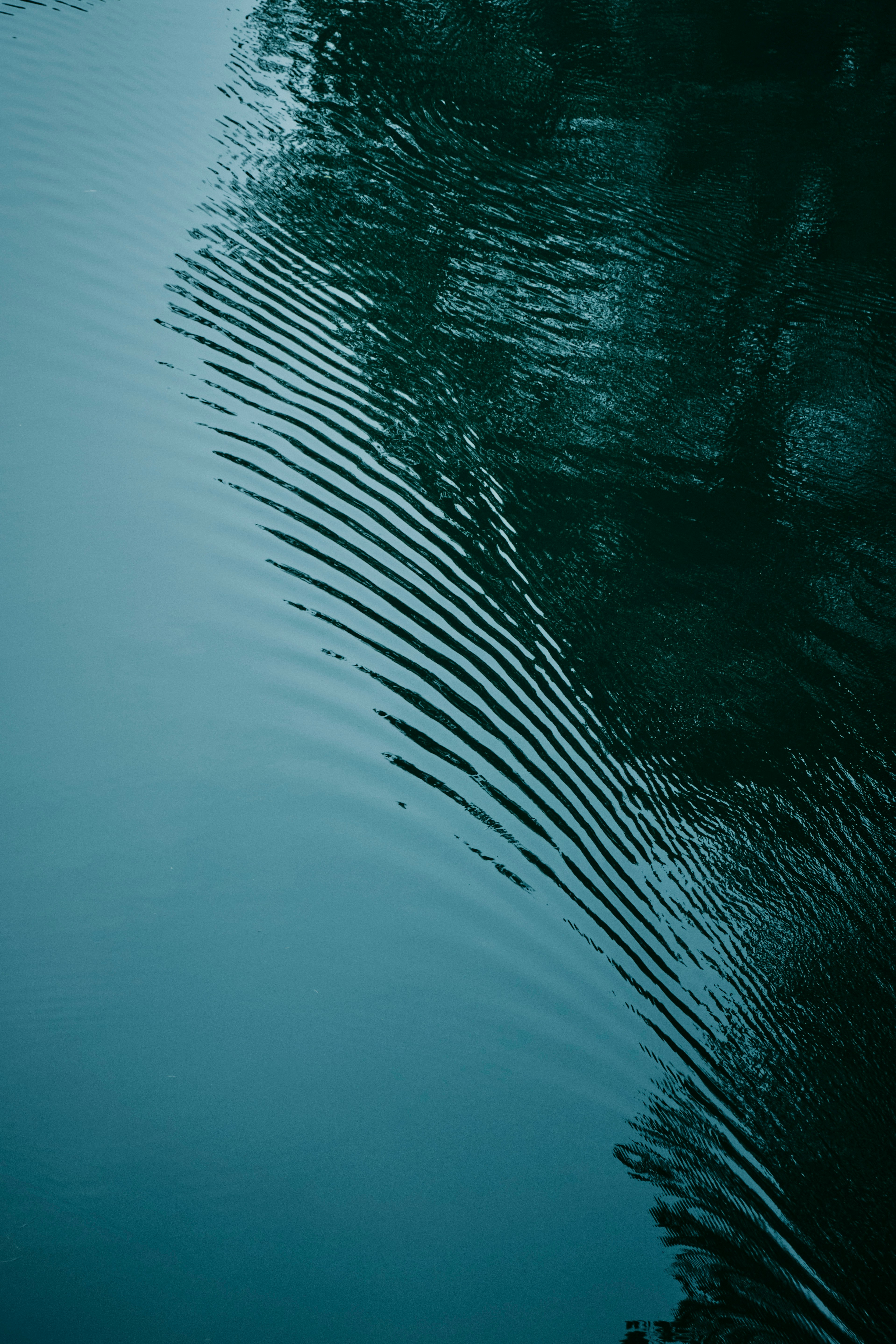Ripples create a pattern on the water's surface.