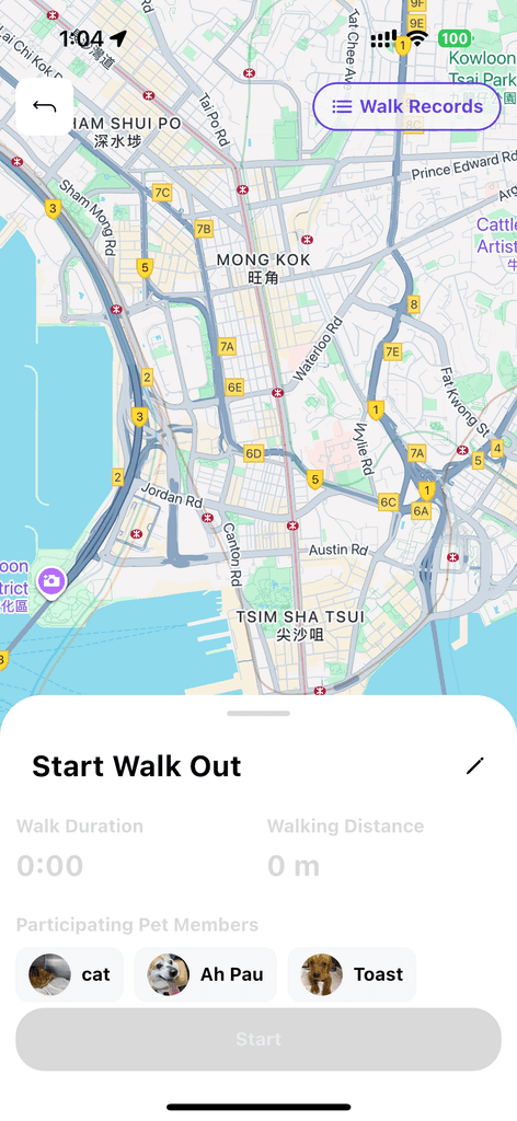 Boo AI Pet Community