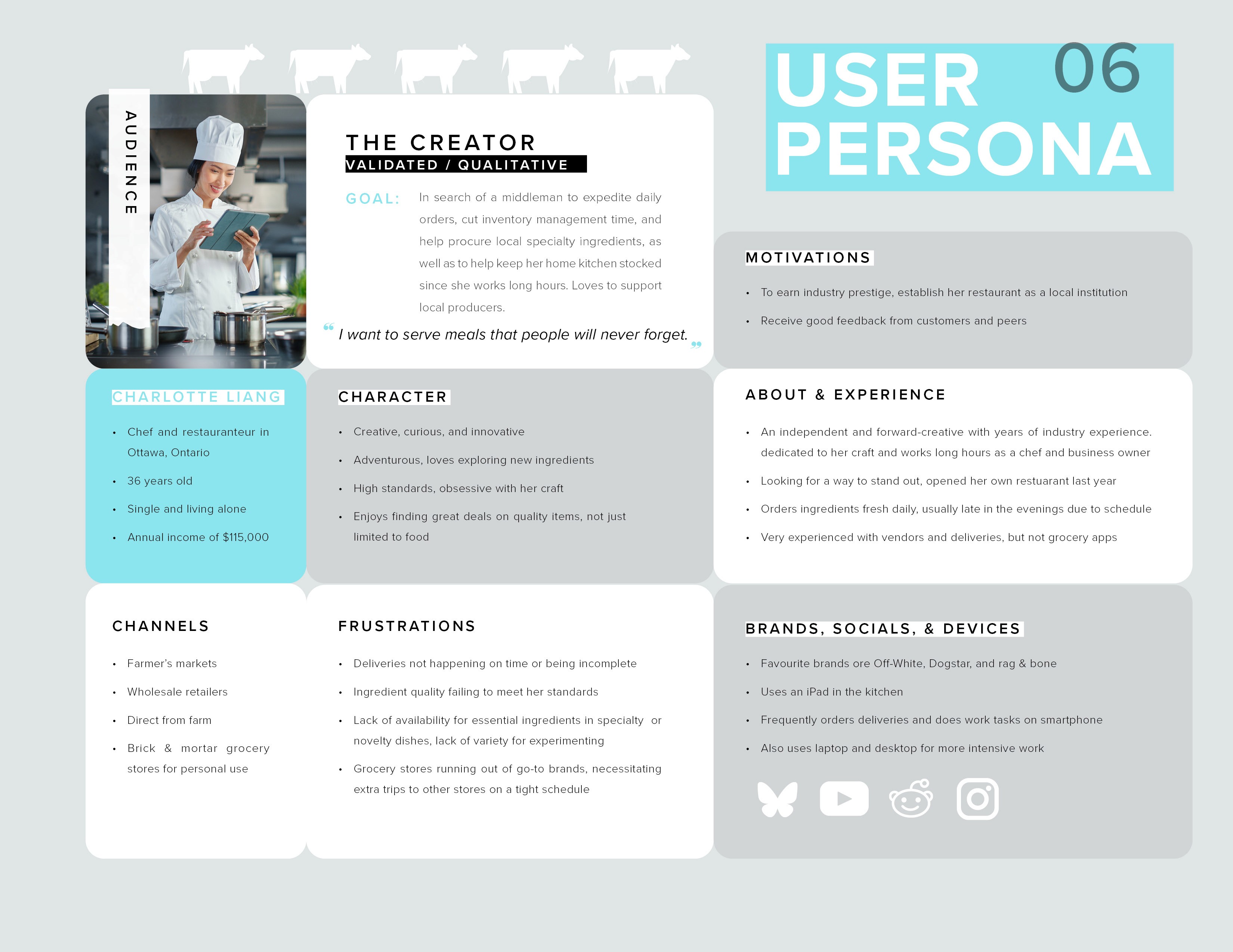 User Persona