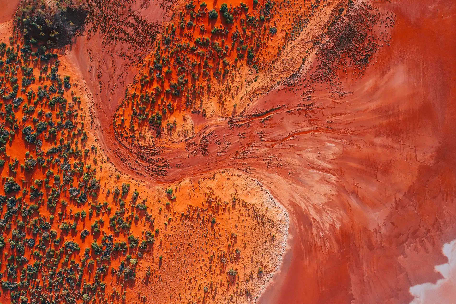 Aerial of red earth and scrub meeting the white crust of a salt lake