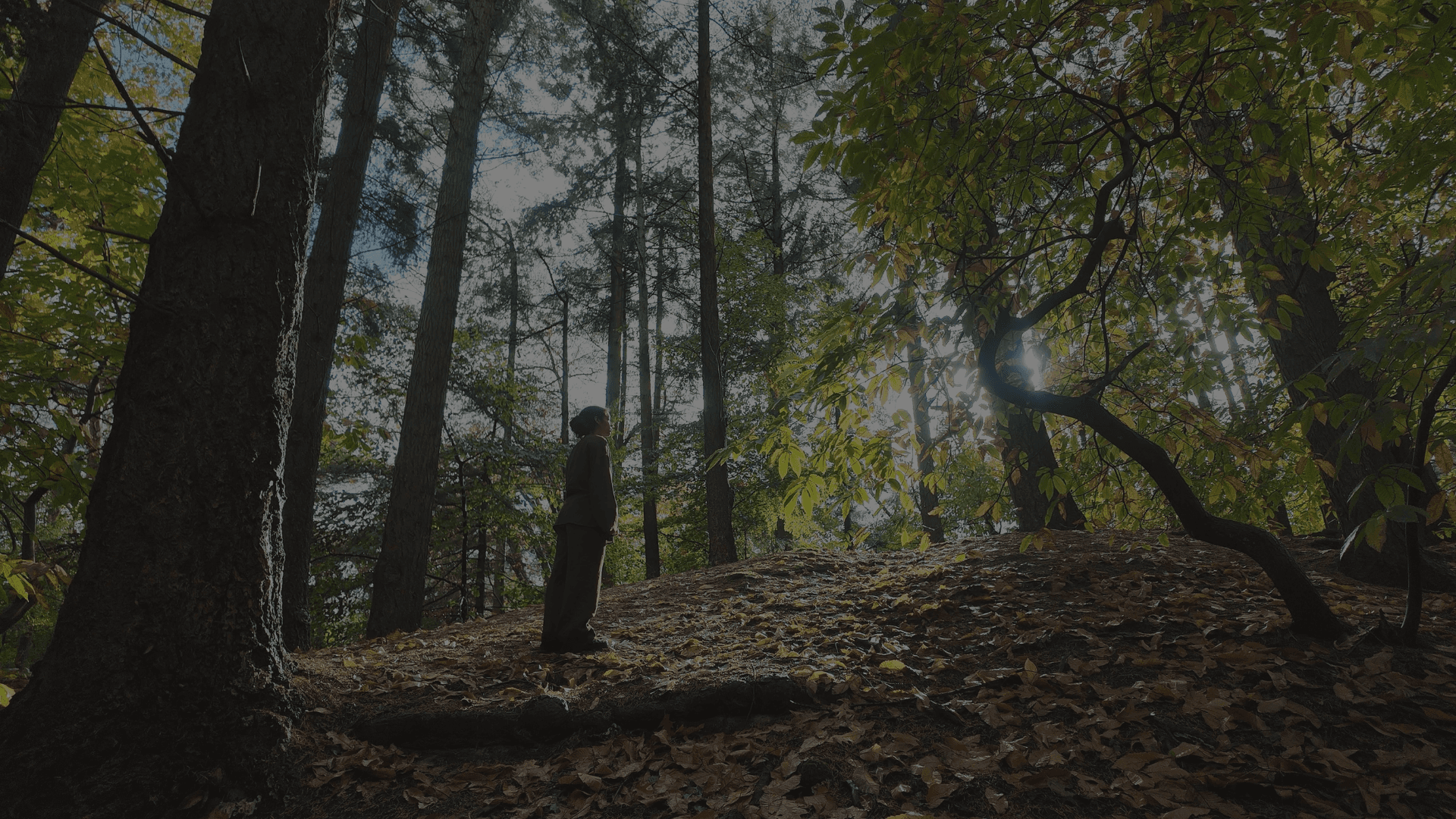 Artistic portrait with red and blue lighting creating a dramatic effect