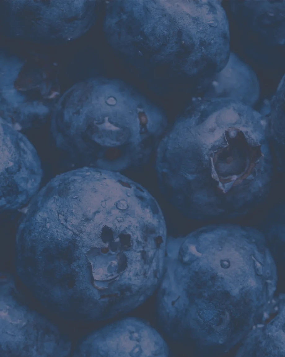 William murray blueberries