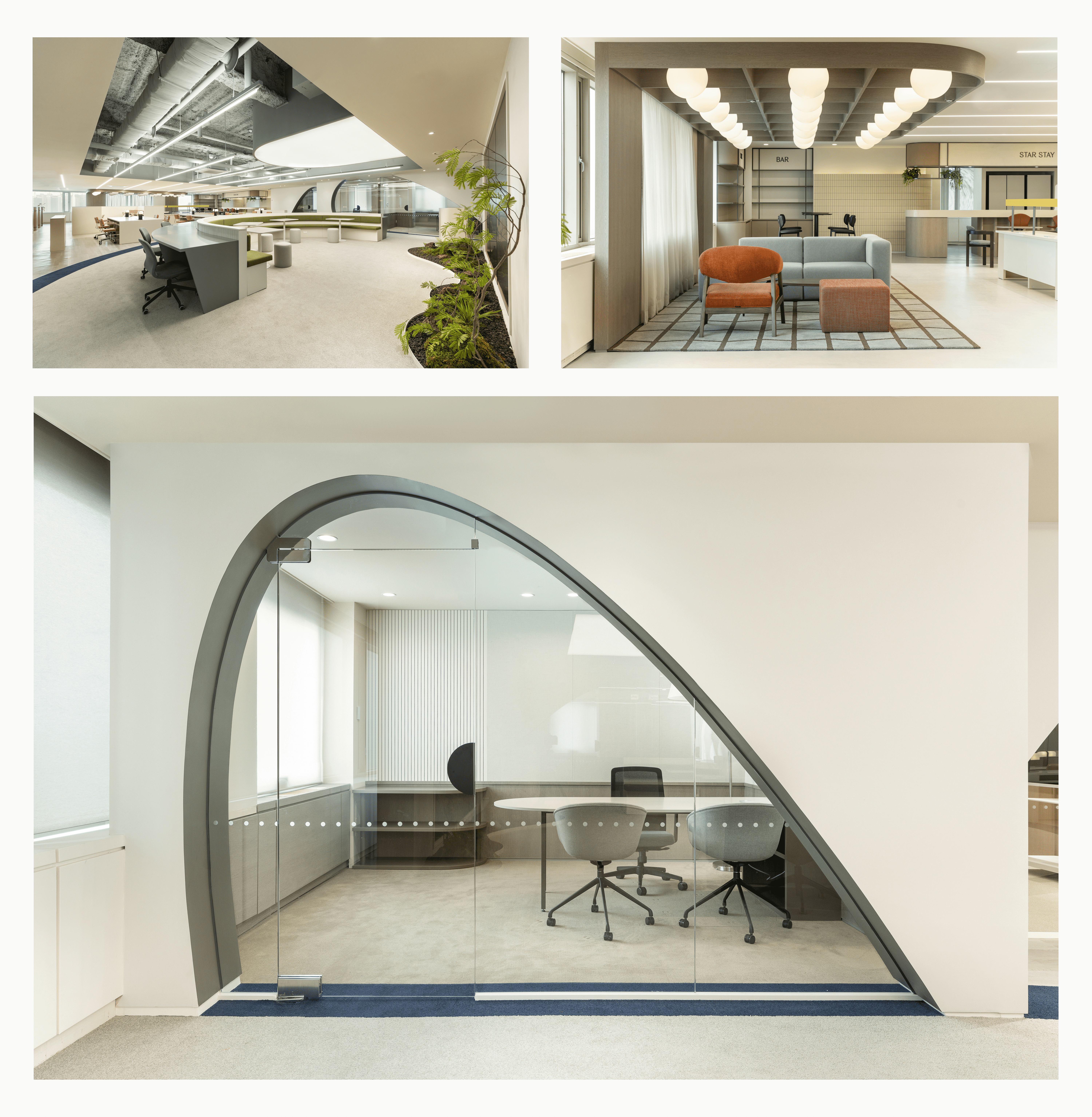 곡선을 강조하는 동시에 흡음 기능을 발휘하는 러그 바닥재가 깔린 오피스 풍경