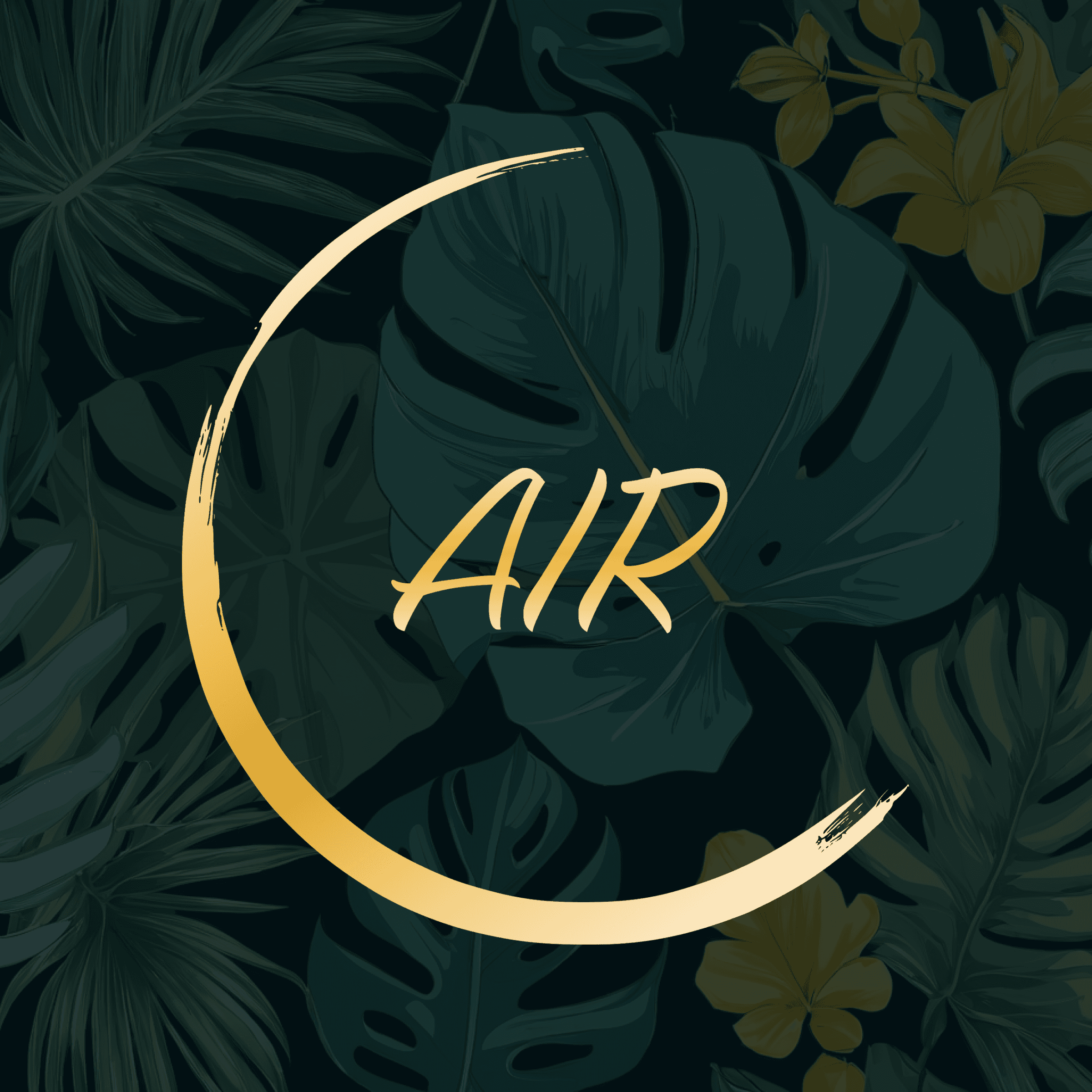 The background features tropical leaves, with a dark green overlay. There is a gold enso-style open circle in the center, with the word 'AIR' centered within the circle.