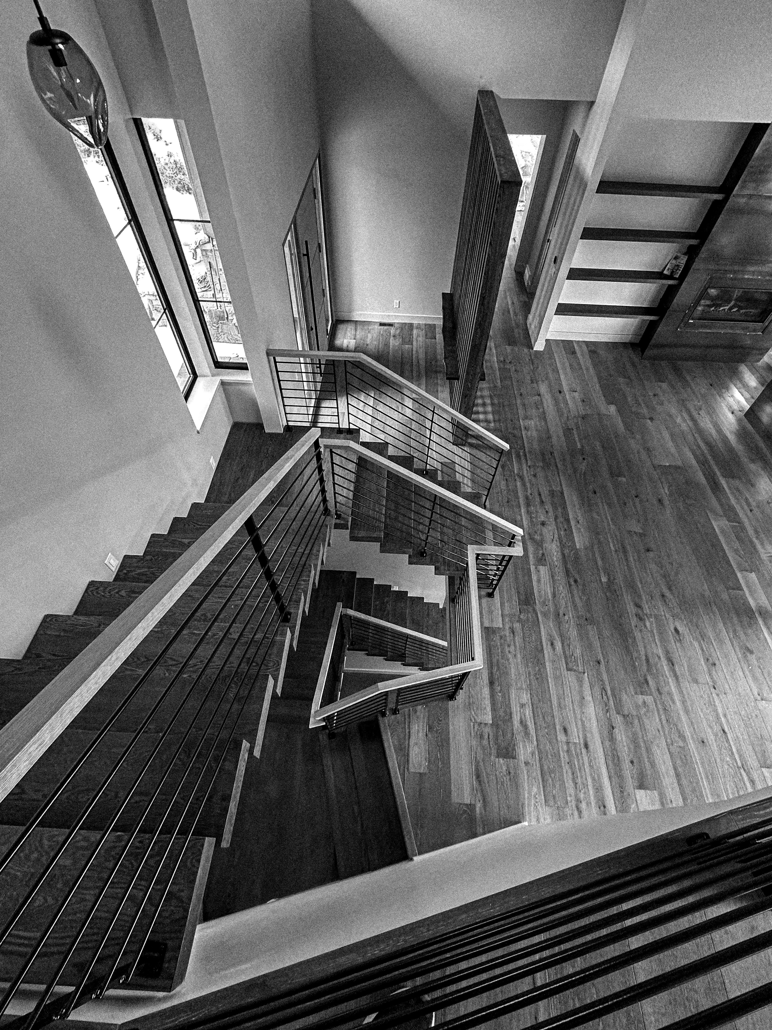 Sunlight streaming through lush green trees, casting shadows on a modern architectural building with glass panels and vertical wooden slats.