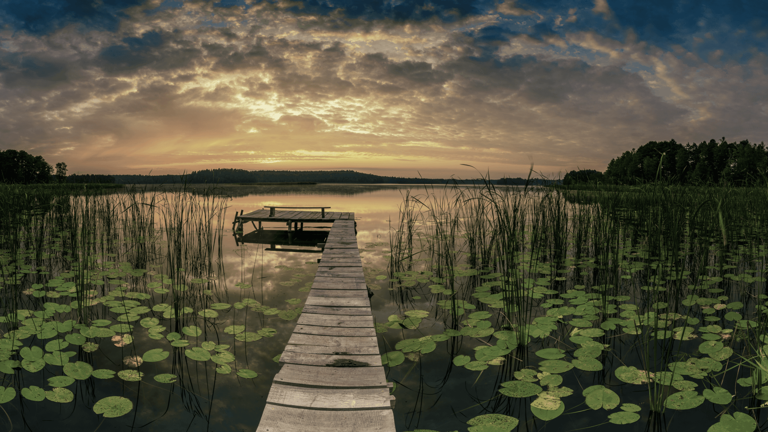 Michael Carter in a dark background