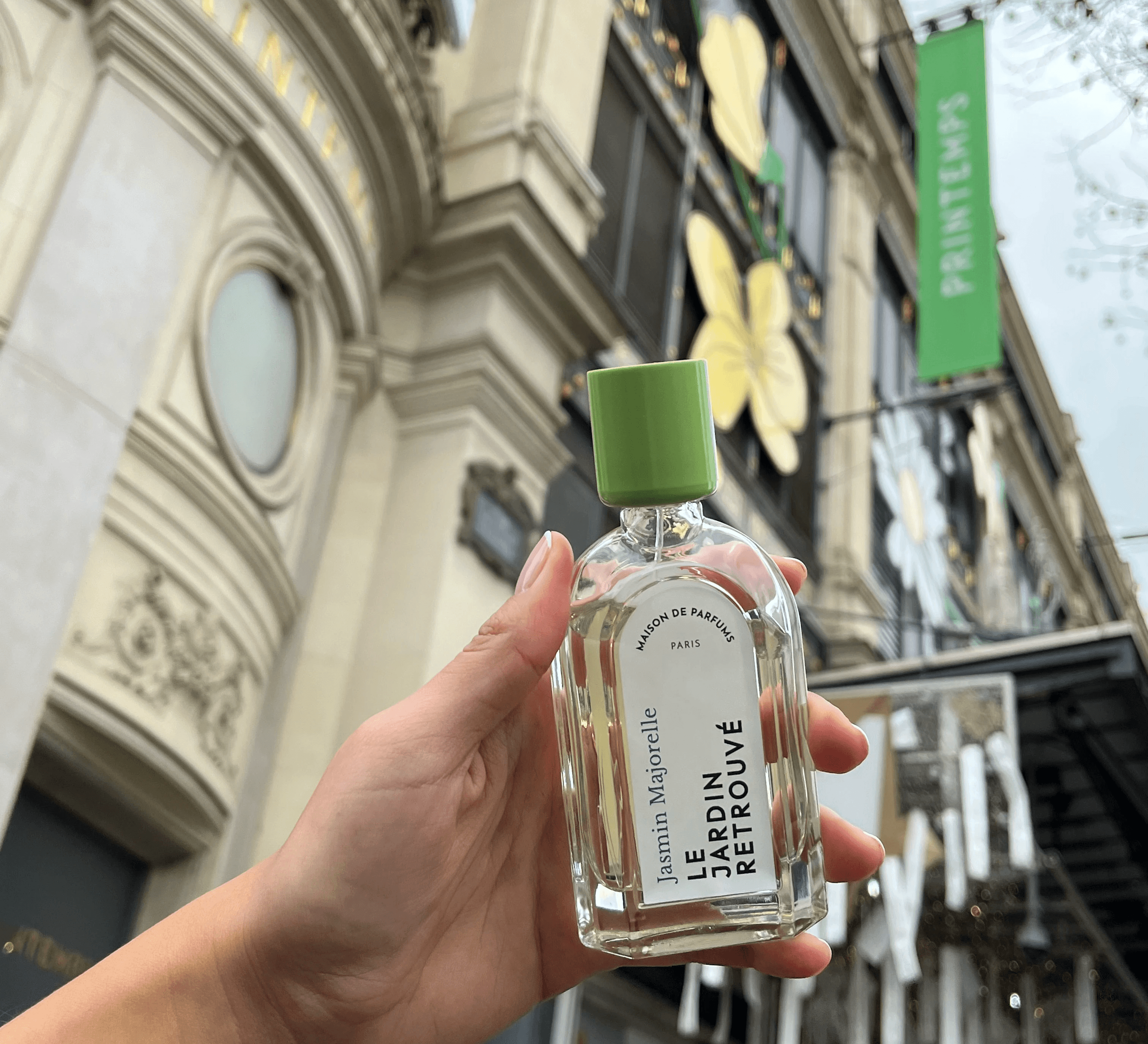 IDENTITY / VISUAL SYSTEM / PRINT / SPACE & SIGNAGE / DIGITAL PRESENCE / CULTURE & COMMUNITY